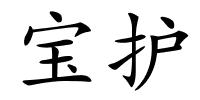 宝护的解释