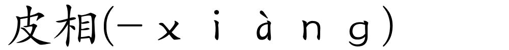 皮相(-ｘｉàｎｇ)的解释