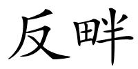 反畔的解释