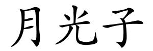 月光子的解释
