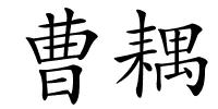 曹耦的解释