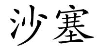 沙塞的解释