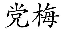 党梅的解释