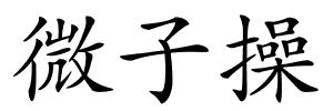 微子操的解释