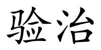 验治的解释
