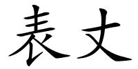 表丈的解释