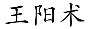 王阳术的解释