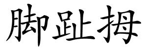 脚趾拇的解释