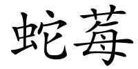 蛇莓的解释