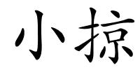 小掠的解释