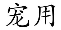 宠用的解释