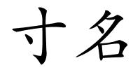 寸名的解释