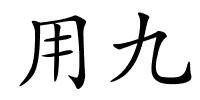 用九的解释
