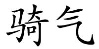骑气的解释