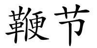 鞭节的解释