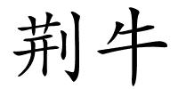 荆牛的解释