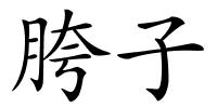 胯子的解释