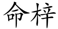 命梓的解释
