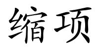 缩项的解释