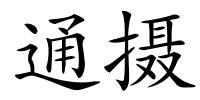 通摄的解释