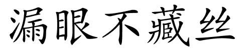 漏眼不藏丝的解释
