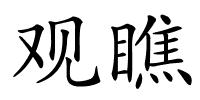 观瞧的解释