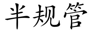 半规管的解释