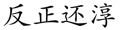 反正还淳的解释