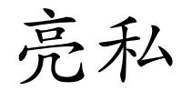 亮私的解释