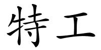 特工的解释