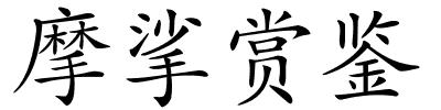 摩挲赏鉴的解释