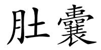 肚囊的解释