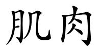 肌肉的解释