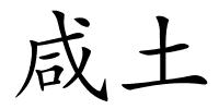 咸土的解释