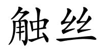 触丝的解释