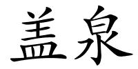 盖泉的解释