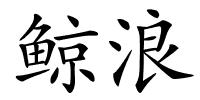 鲸浪的解释
