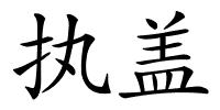 执盖的解释