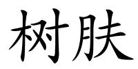 树肤的解释