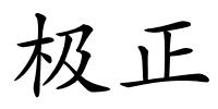 极正的解释