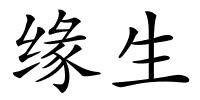 缘生的解释