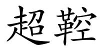 超鞚的解释