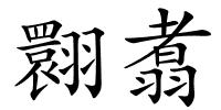 翾翥的解释