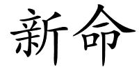 新命的解释