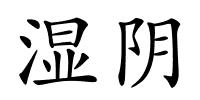 湿阴的解释