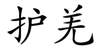 护羌的解释