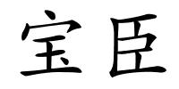 宝臣的解释