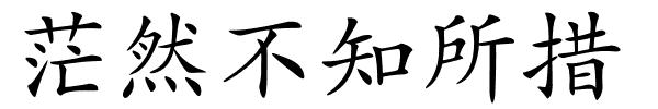 茫然不知所措的解释