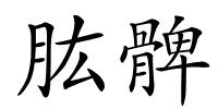 肱髀的解释