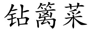 钻篱菜的解释